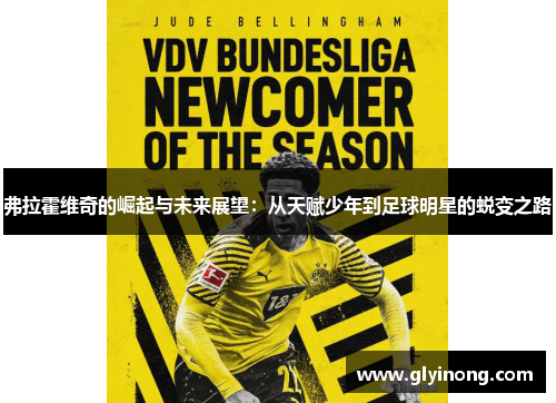 弗拉霍维奇的崛起与未来展望：从天赋少年到足球明星的蜕变之路