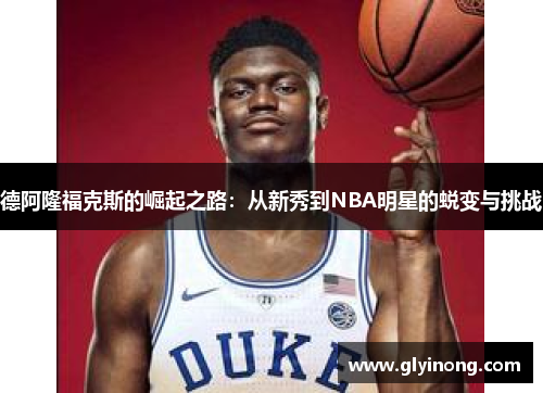 德阿隆福克斯的崛起之路：从新秀到NBA明星的蜕变与挑战