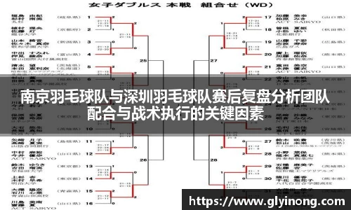 南京羽毛球队与深圳羽毛球队赛后复盘分析团队配合与战术执行的关键因素